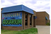 Aquariums At Cranbourne